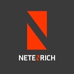 NetEnrich Logo